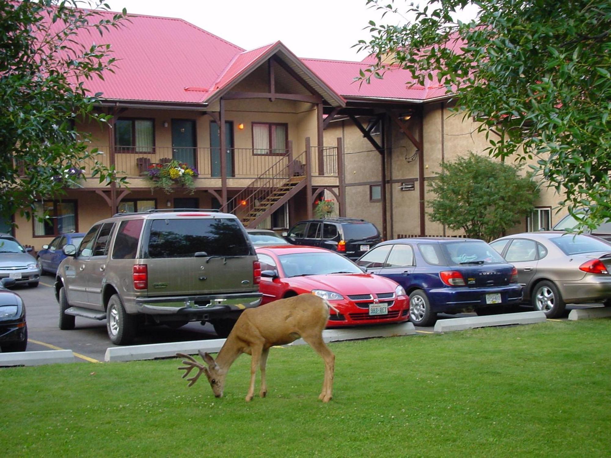 Aspen Village Waterton Park Exterior foto